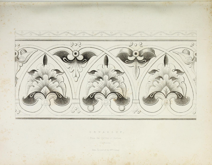encyclopaediaofo00shaw_0069 (700x544, 283Kb)
