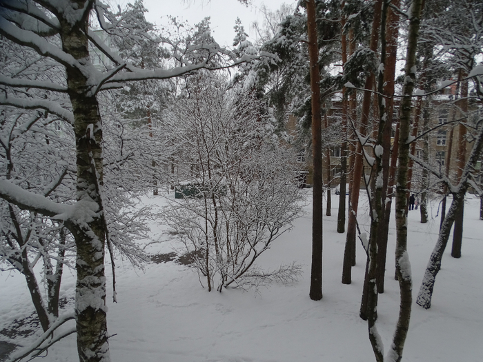 DSC00103 (700x525, 432Kb)