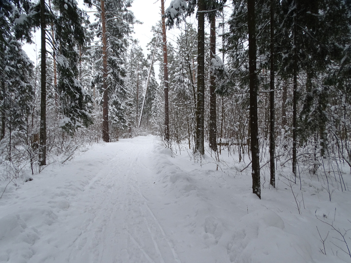 DSC00145 (700x525, 442Kb)