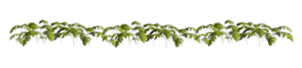 51 (302x68, 22Kb)