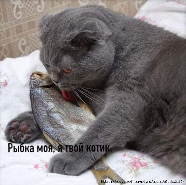 2889915583 (604x602, 144Kb)