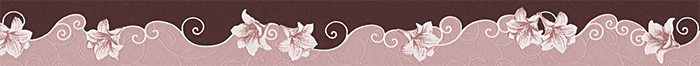 zokb (700x66, 74Kb)