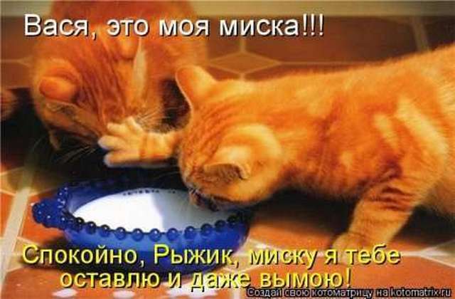 4743317_i6514 (640x420, 33Kb)