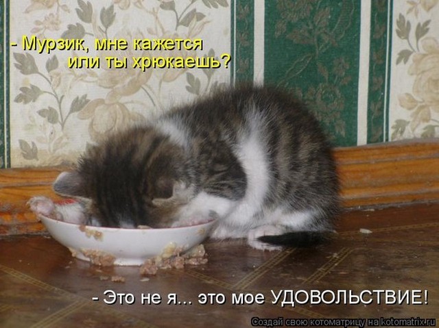 4743317_i8575 (640x479, 80Kb)