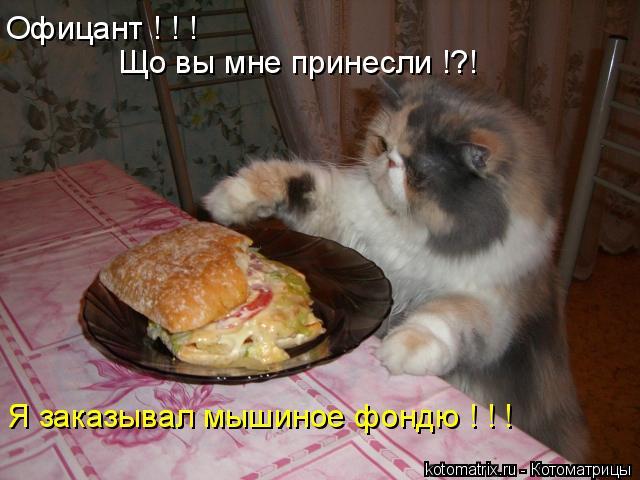 4743317_o (640x480, 48Kb)