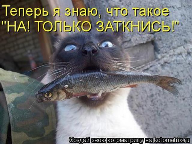 4743317_i6515 (640x480, 52Kb)
