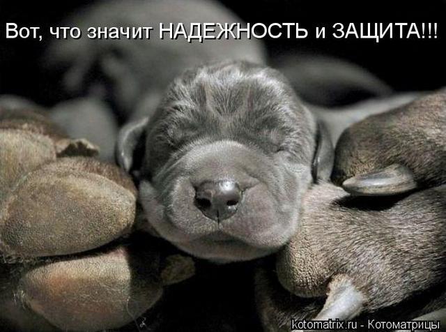 4743317_nL (640x476, 50Kb)