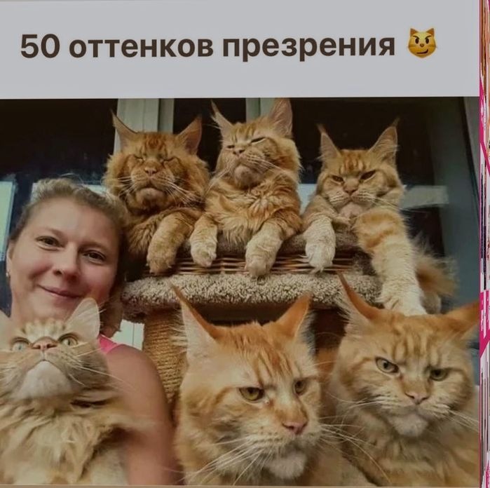 Screenshot_20250425-194214_Instagram~2 (700x696, 70Kb)
