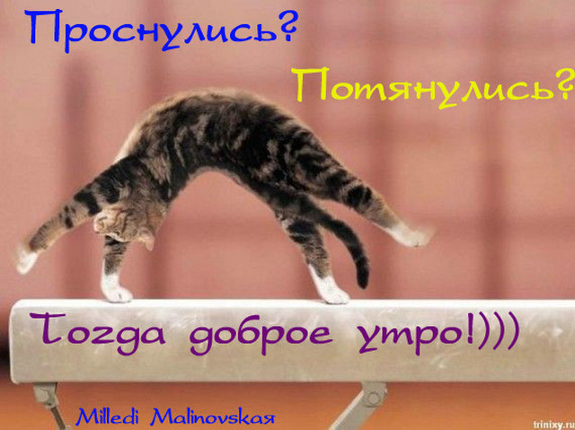 4743317_ytro_prosnylis_potyanylis__togda_dobrogo_ytra (640x479, 85Kb)