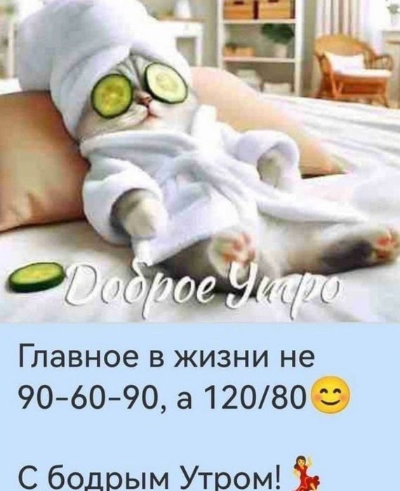 4743317_photo_20250424_090555 (570x700, 62Kb)