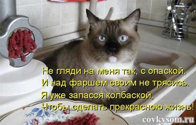 4743317_i24512 (640x410, 68Kb)