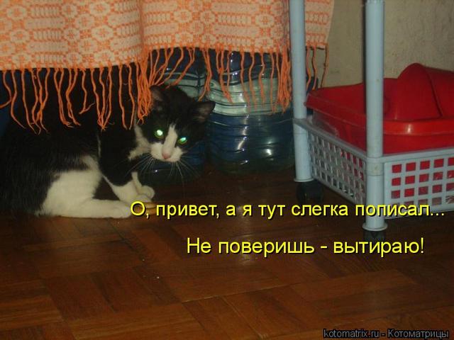 4743317_Lz (640x480, 44Kb)