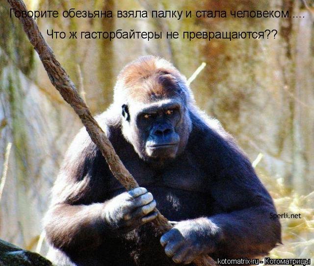 4743317_mx (640x543, 63Kb)