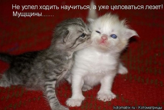 4743317_i24516 (640x431, 59Kb)