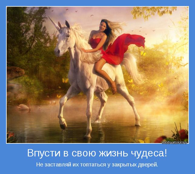 4743317_motivator56634 (644x574, 55Kb)