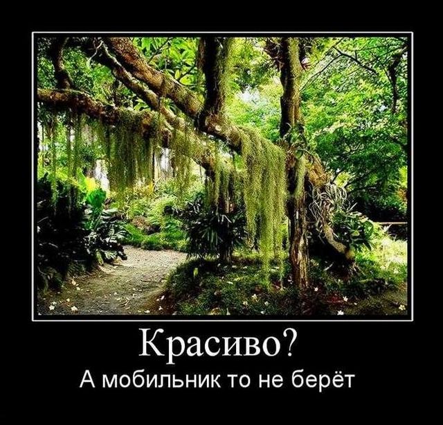 4743317_demotivatory_20 (640x613, 103Kb)