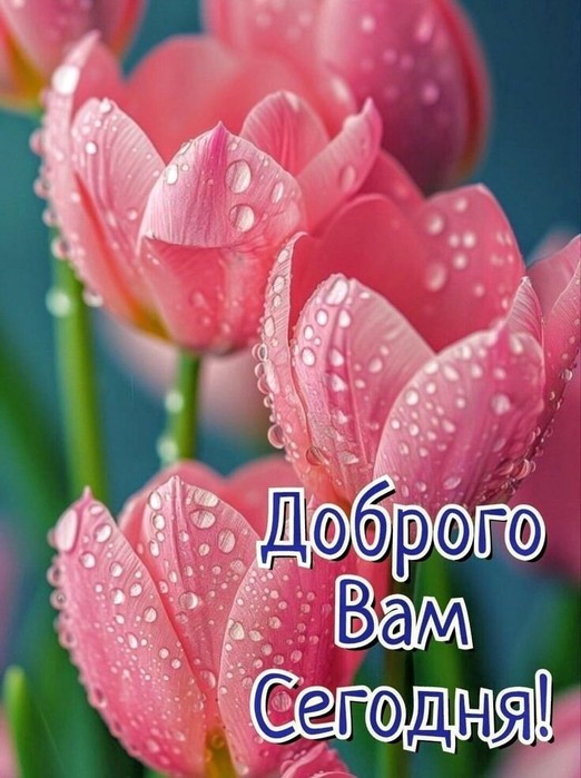 IMG_20250427_060933 (522x700, 89Kb)