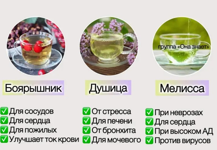 Сохраненное изображение 2025-4-27_11-16-34.388 (600x383, 239Kb)