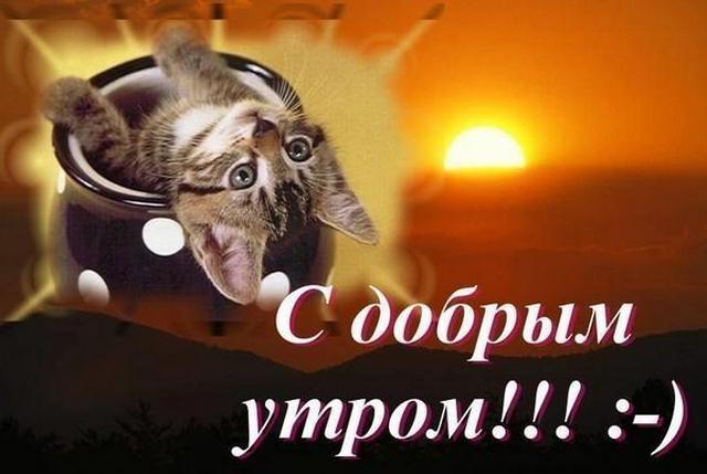 4743317_S_dobrim_ytrom (640x429, 34Kb)