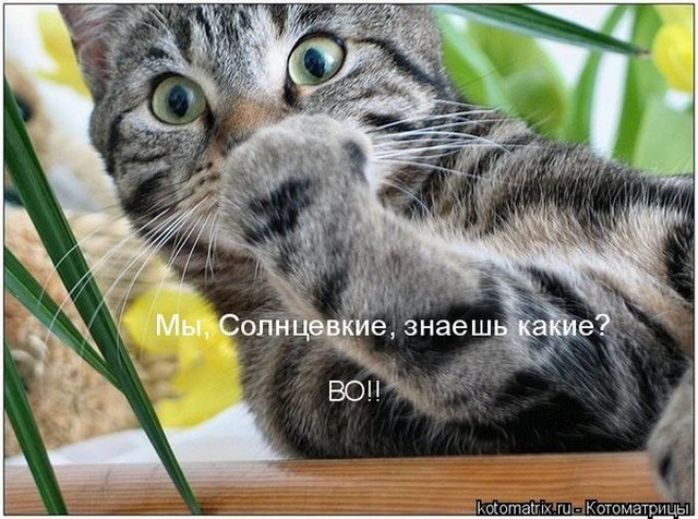 4743317_i24508 (640x476, 102Kb)