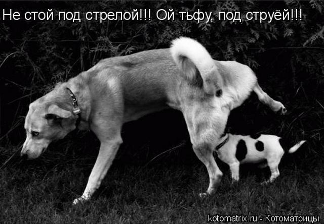 4743317_Jt (640x444, 48Kb)