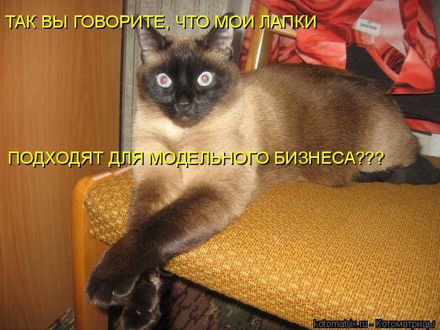 4743317_S8 (640x480, 58Kb)
