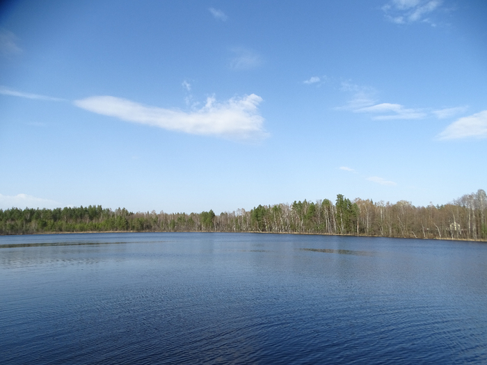 DSC00274 (700x525, 301Kb)