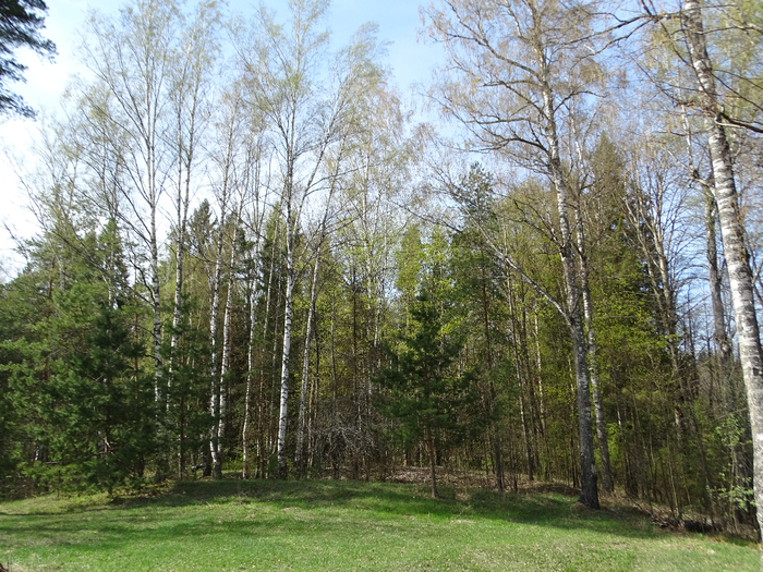 DSC00087 (700x525, 581Kb)