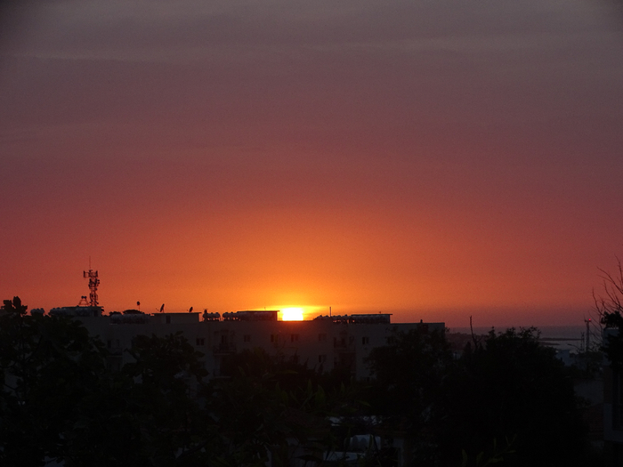 DSC00202 (700x525, 254Kb)