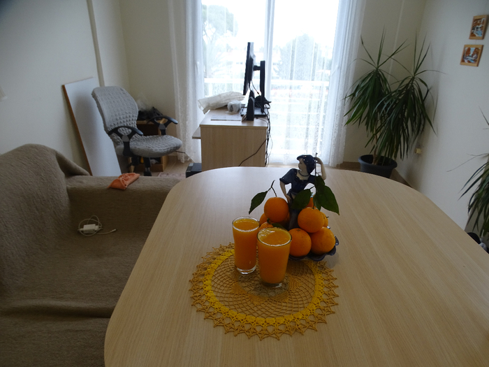 DSC00210 (700x525, 334Kb)