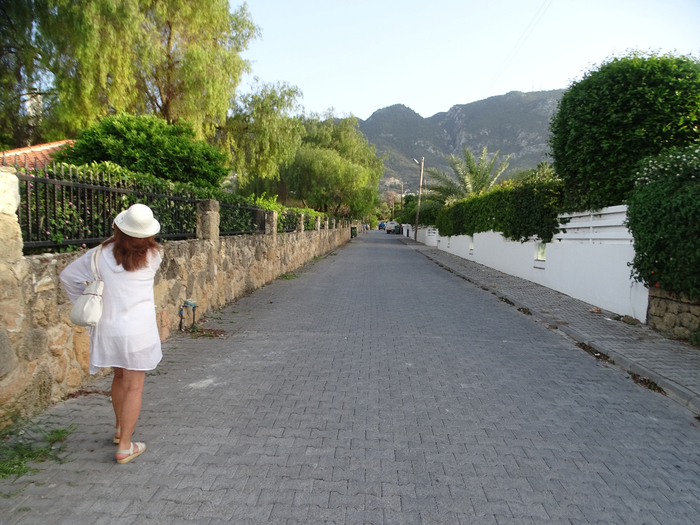 DSC00025 (700x525, 416Kb)