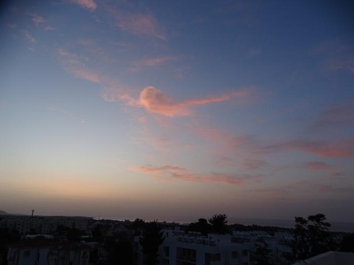 DSC00048 (700x525, 242Kb)
