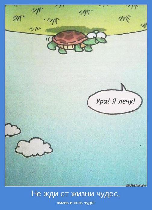 4743317_motivator61031 (505x700, 45Kb)