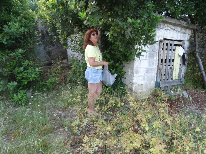 DSC00070 (700x525, 545Kb)