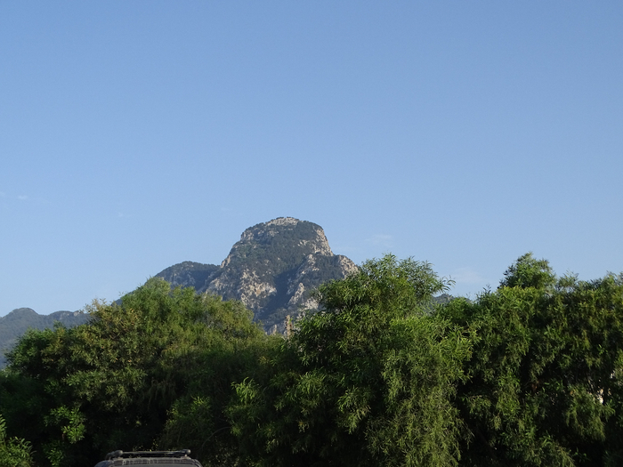 DSC00088 (700x525, 334Kb)