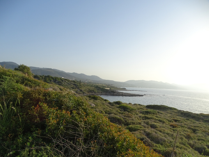DSC00100 (700x525, 352Kb)