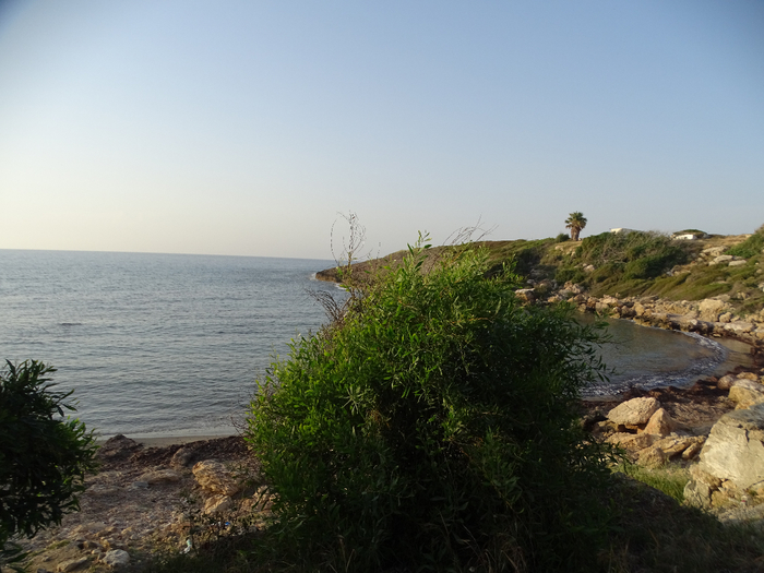 DSC00106 (700x525, 364Kb)