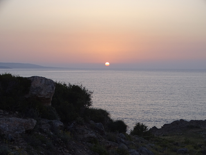 DSC00121 (700x525, 283Kb)