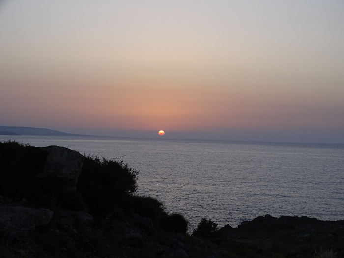 DSC00123 (700x525, 243Kb)