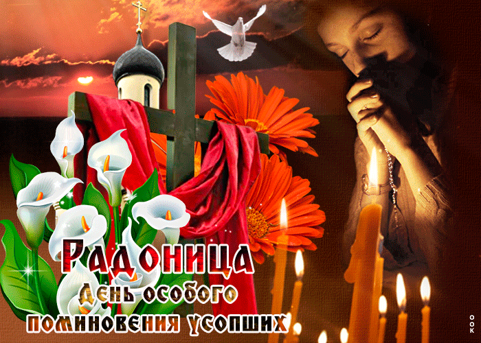 5145824_otkrytkaradonitsastsvetami88195 (700x500, 3325Kb)