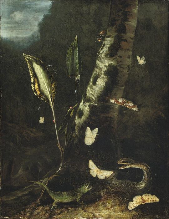00 (540x700, 76Kb)