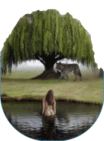 oie_overlay (342x462, 203Kb)