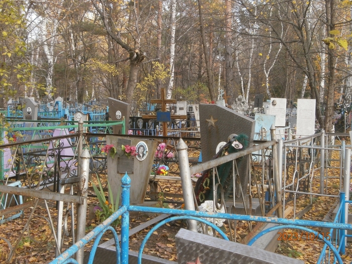 4709286_PA150543 (700x525, 371Kb)