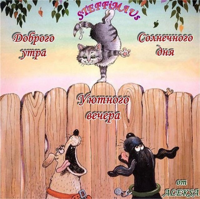 4743317_Dobrogo_ytra_Solnechnogo_dnya_Yutnogo_vechera (640x636, 99Kb)
