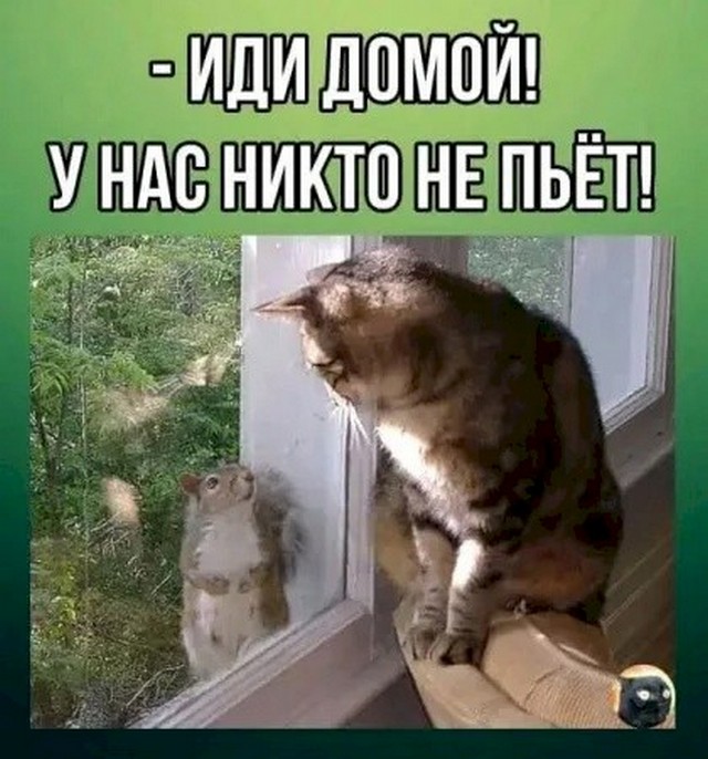 4743317_dd37d5f5 (640x686, 95Kb)