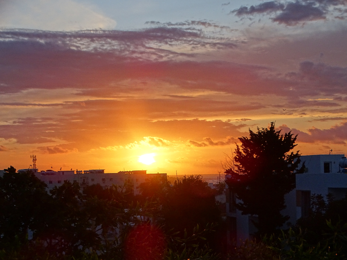 DSC00223 (700x525, 350Kb)