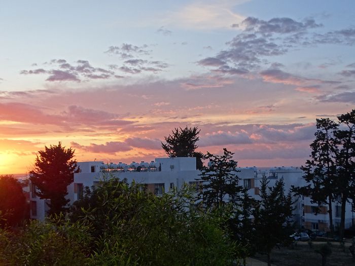 DSC00227 (700x525, 392Kb)