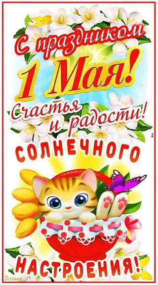 convert_to_jpg_b411488bdfa4dd0bdbfc1365e26411e8_68128a9e793f0_11zon_11zon (320x576, 41Kb)
