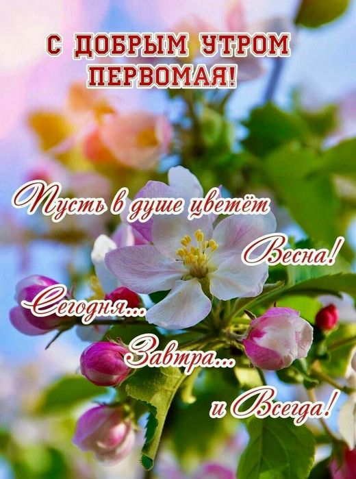 IMG_20250501_163421_918[1] (520x700, 71Kb)
