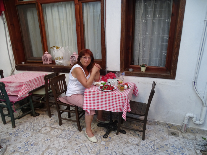 DSC00381 (700x525, 411Kb)